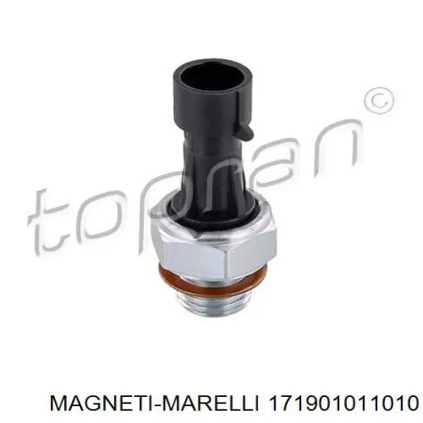 171901011010 Magneti Marelli Sensor de pressão de óleo