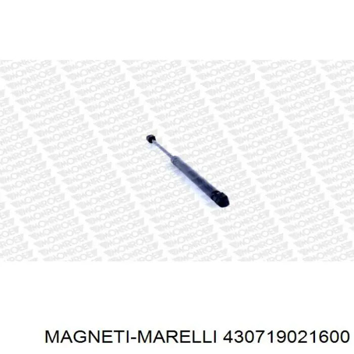 Amortecedor de tampa de porta-malas (de 3ª/5ª porta traseira) Magneti Marelli 430719021600 preço, a partir de 20,96 USD