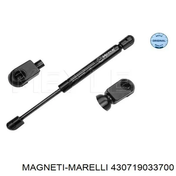 Compre 430719033700 Magneti Marelli Amortecedor de tampa de porta-malas (de 3ª/5ª porta traseira)