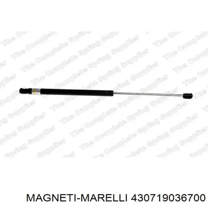 Compre 430719036700 Magneti Marelli Amortecedor de tampa de porta-malas (de 3ª/5ª porta traseira)