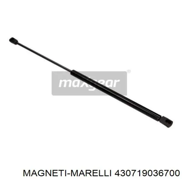 Amortecedor de tampa de porta-malas (de 3ª/5ª porta traseira) Magneti Marelli 430719036700