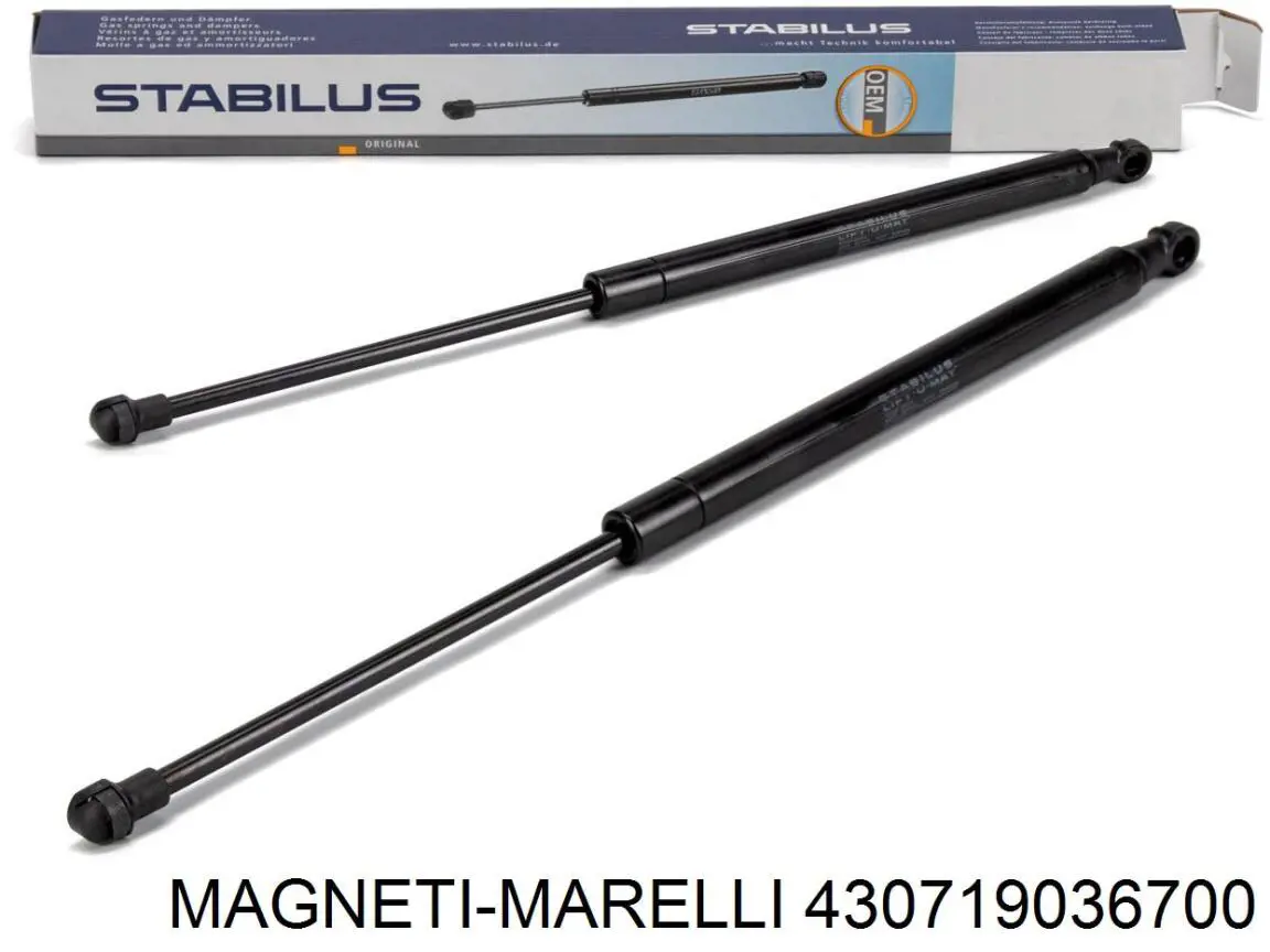 Amortecedor de tampa de porta-malas (de 3ª/5ª porta traseira) Magneti Marelli 430719036700 preço, a partir de 15,81 USD