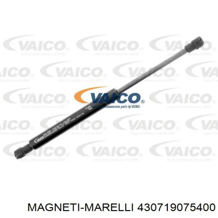 Amortecedor da capota Magneti Marelli 430719075400 preço, a partir de 14,65 USD