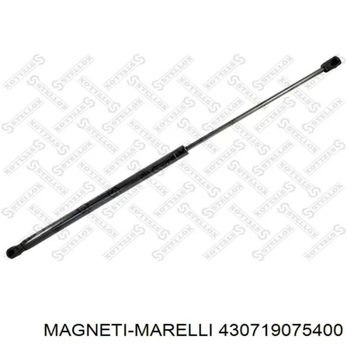 Compre 430719075400 Magneti Marelli Amortecedor da capota