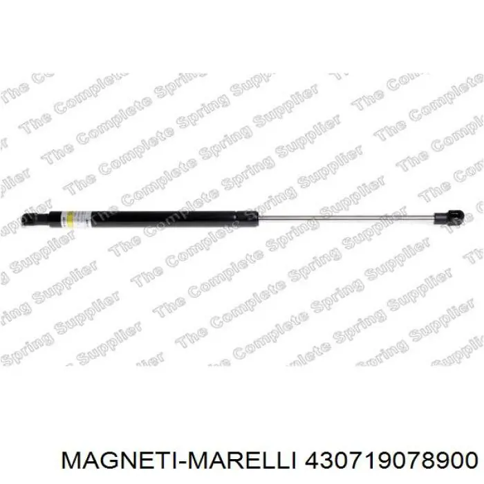 Compre 430719078900 Magneti Marelli Amortecedor de tampa de porta-malas (de 3ª/5ª porta traseira)
