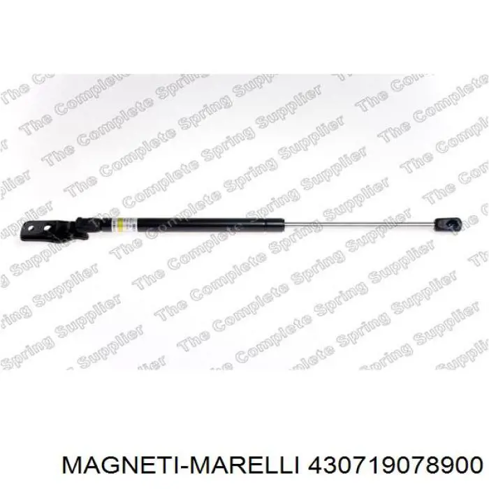 Compre 430719078900 Magneti Marelli Amortecedor de tampa de porta-malas (de 3ª/5ª porta traseira)