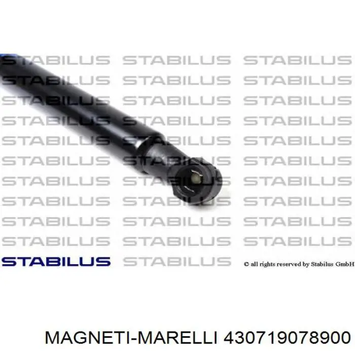 Amortecedor de tampa de porta-malas (de 3ª/5ª porta traseira) Magneti Marelli 430719078900 preço, a partir de 23,57 USD