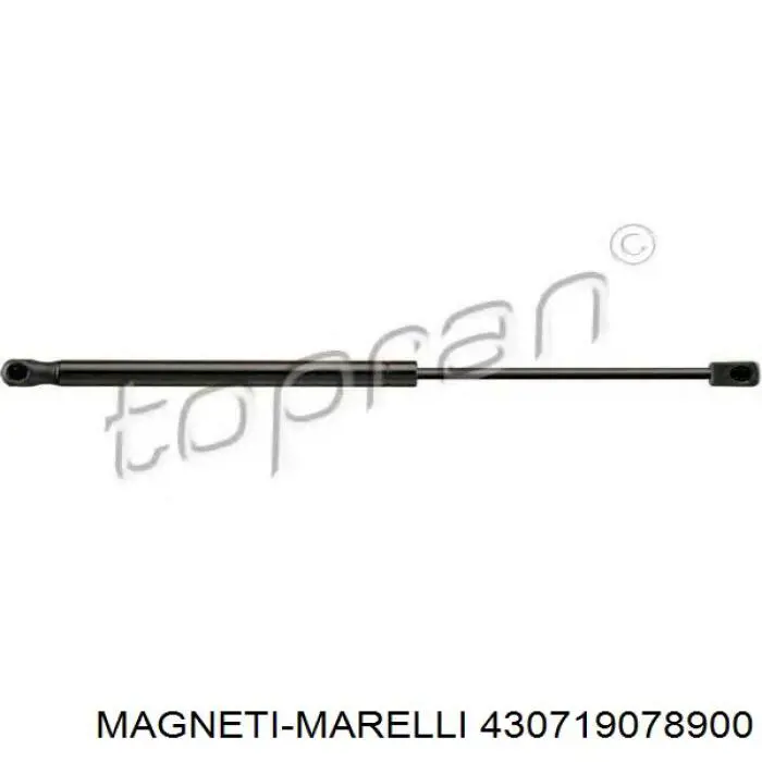 430719078900 Magneti Marelli Amortecedor de tampa de porta-malas (de 3ª/5ª porta traseira)