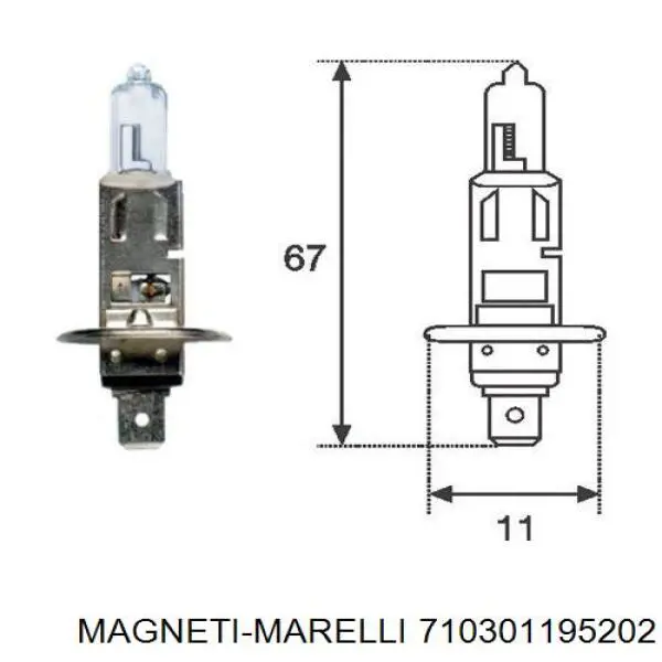 710301195202 Magneti Marelli Luz direita