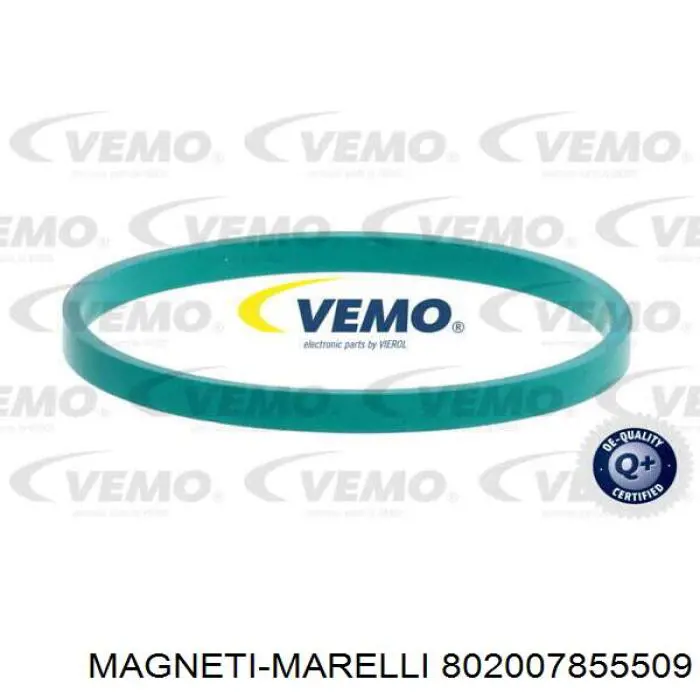 50CDSF5 Magneti Marelli Válvula de borboleta montada