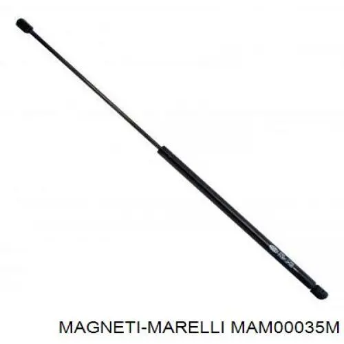 Módulo de bomba de combustível com sensor do nível de combustível Magneti Marelli MAM00035M