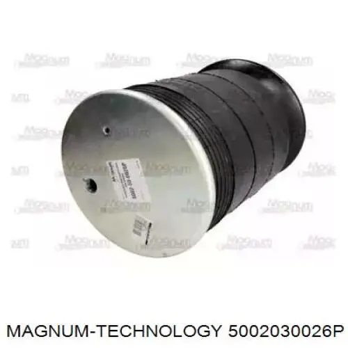 Compre RD74158P Rider Coxim pneumático (suspensão de lâminas pneumática) do eixo