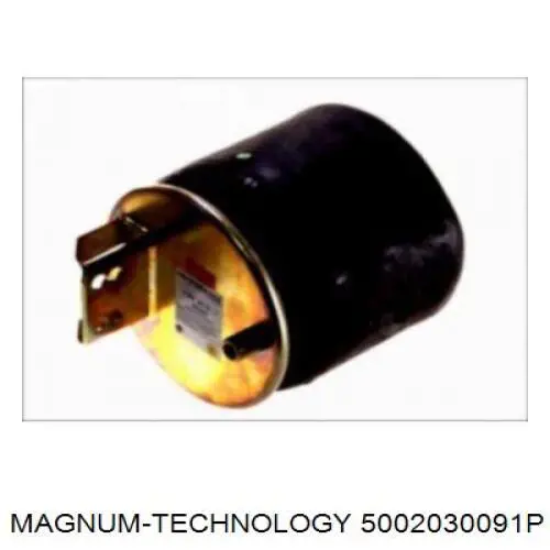 Coxim pneumático (suspensão de lâminas pneumática) do eixo W01M588472 Firestone