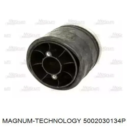 5002030027P Magnum Technology