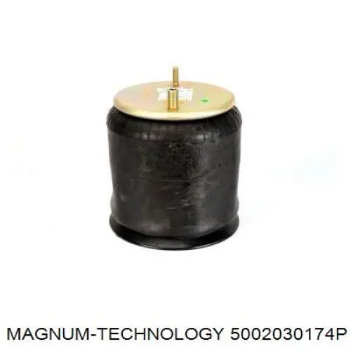 Compre 5002030174P Magnum Technology Coxim pneumático (suspensão de lâminas pneumática) do eixo