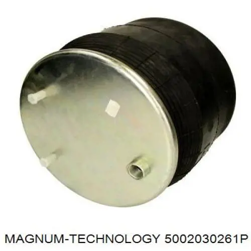 Compre 1794420 DAF Coxim pneumático (suspensão de lâminas pneumática) do eixo traseiro