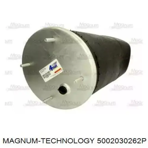 Cilindro mestre de embraiagem Magnum Technology 5002030262P preço, a partir de 43,40 USD