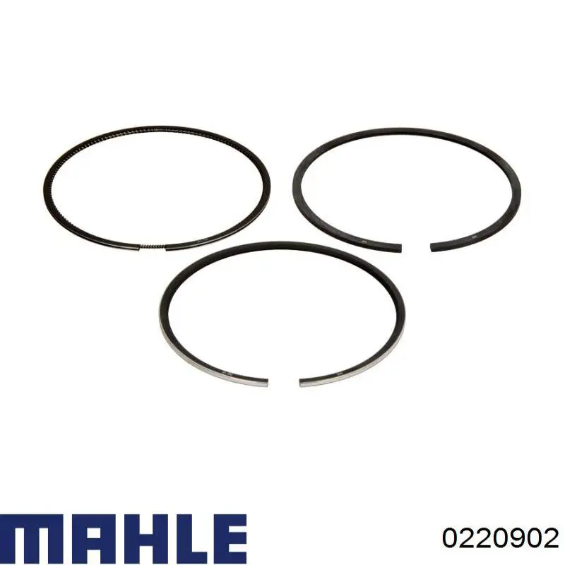 0220902 Mahle Original Pistão do kit para 1 cilindro, 2ª reparação ( + 0,50)