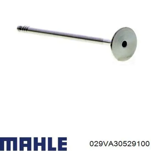 029VA30529100 Mahle Original Válvula de escape