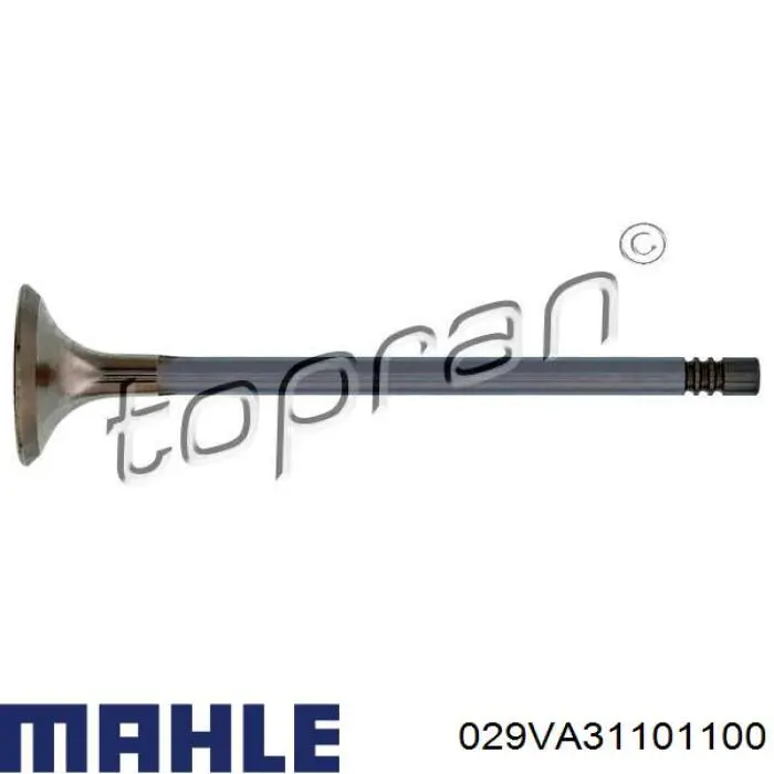 029VA31101100 Mahle Original Válvula de escape