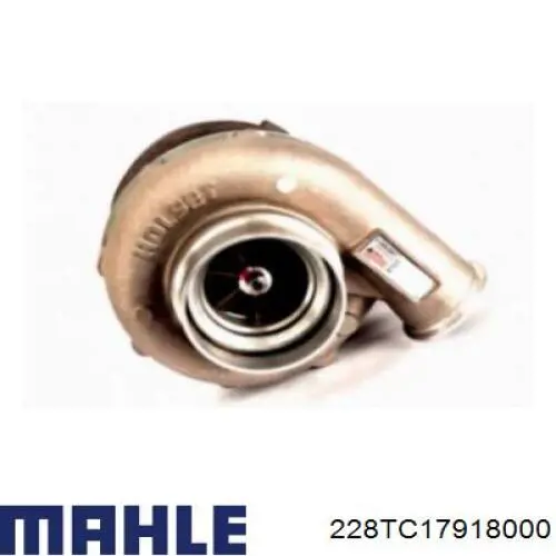 53319887206 Borg-Warner Turbina