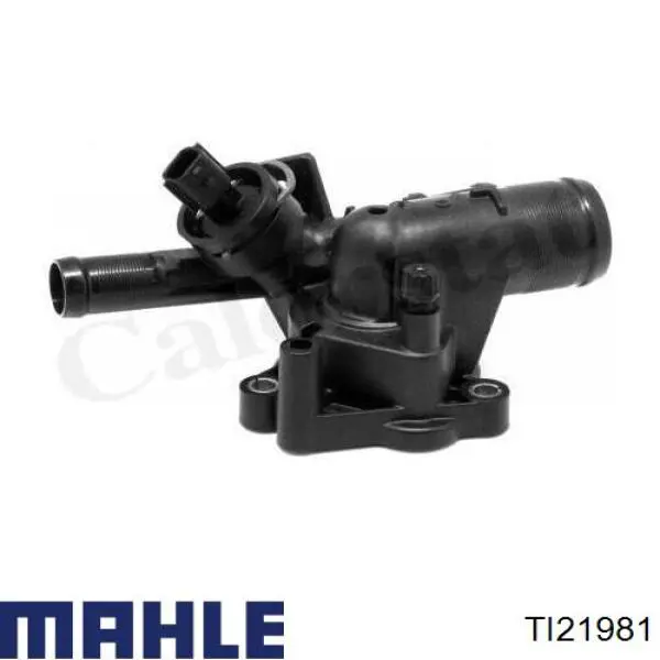 TI21981 Mahle Original Termostato