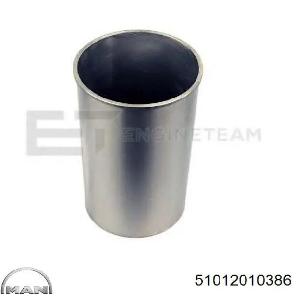 Compre 227WT3900 Mahle Original Camisa do pistão