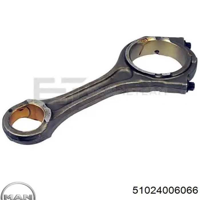 Anel de ABS 81524006005 MAN