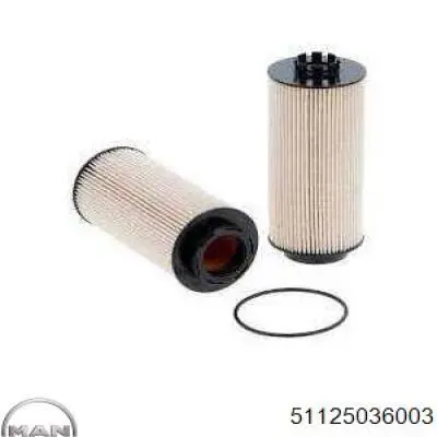 Compre 51125036003 MAN Filtro de combustível