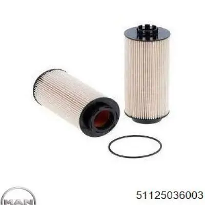 Filtro de combustível MAN 51125036003