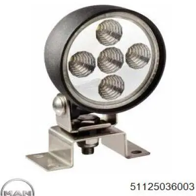 Compre PU10019Z Mann-Filter Filtro de combustível