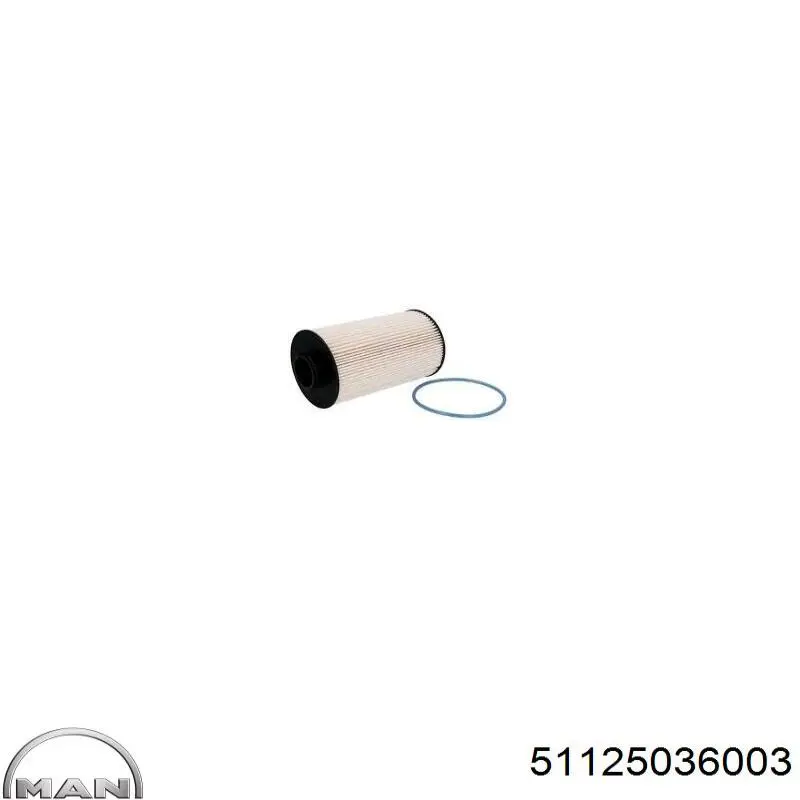 Compre 51125036003 MAN Filtro de combustível