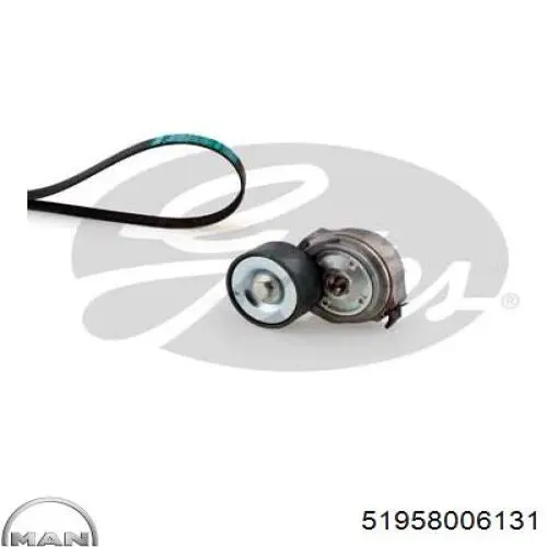 Compre 51958006131 MAN Correia dos conjuntos de transmissão, kit