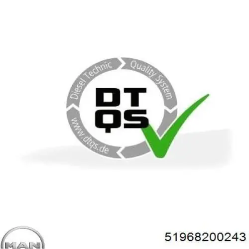 Correia dos conjuntos de transmissão 51968200243 MAN