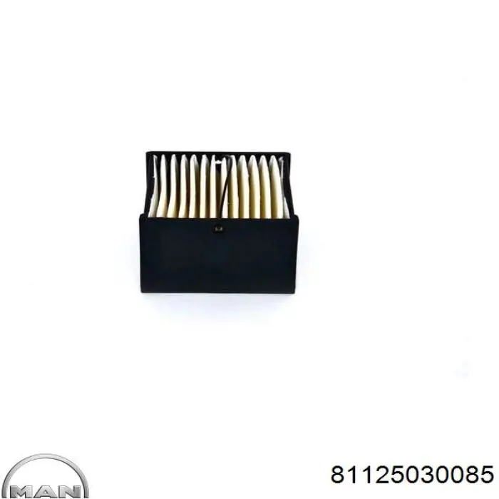 Compre 81125030085 MAN Filtro de combustível