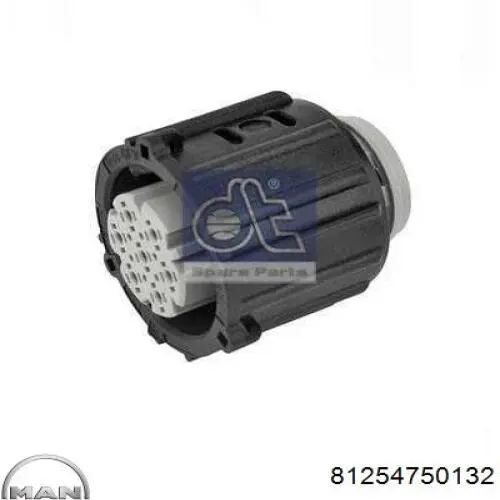 Desengate (ficha) da luz traseira 4859414 Iveco