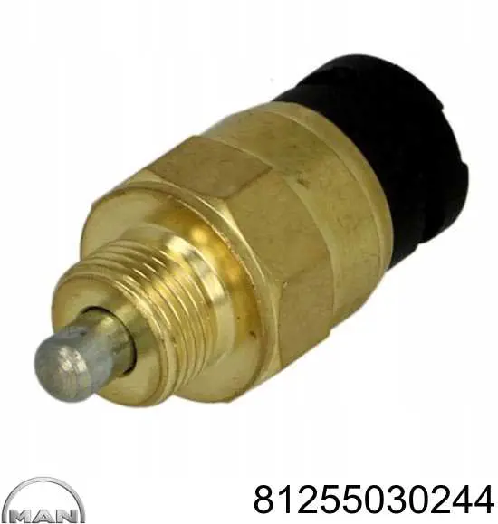 Compre 81255030244 MAN Sensor de indicador da lâmpada de caixa de transferência de bloqueio de diferencial