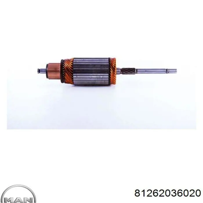 81262036020 MAN Induzido (rotor) do motor de arranco