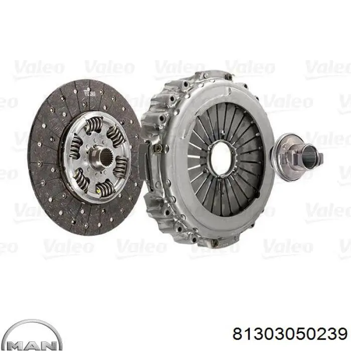 Compre 81303050239 MAN Cesta de embraiagem