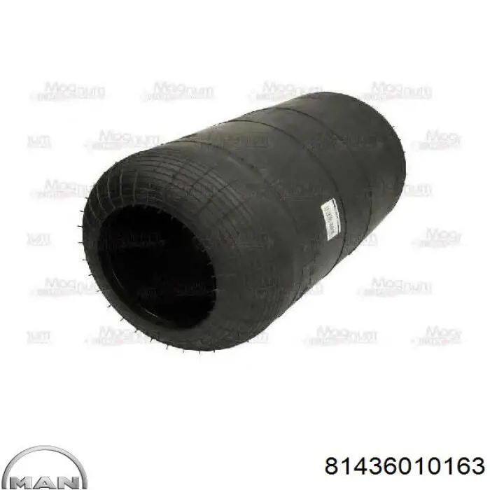 Compre 81436010163 MAN Coxim pneumático (suspensão de lâminas pneumática) do eixo dianteiro