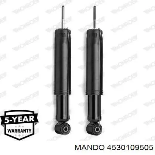 Compre RS109505 Raiso Amortecedor traseiro