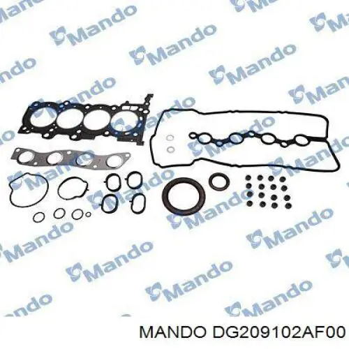 Compre DG209102AF00 Mando Kit de vedantes de motor completo