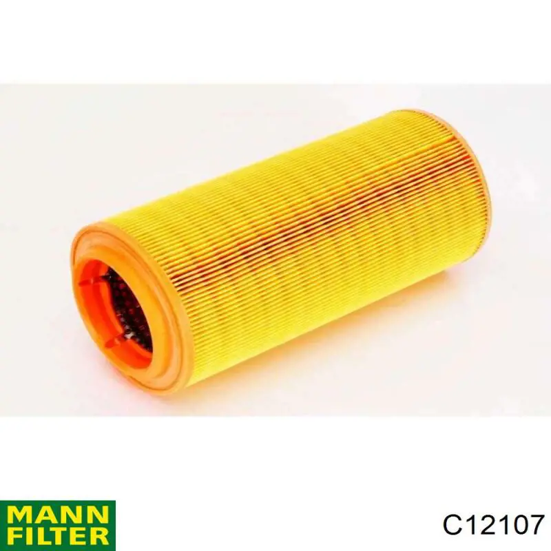 Compre C12107 Mann-Filter Filtro de ar