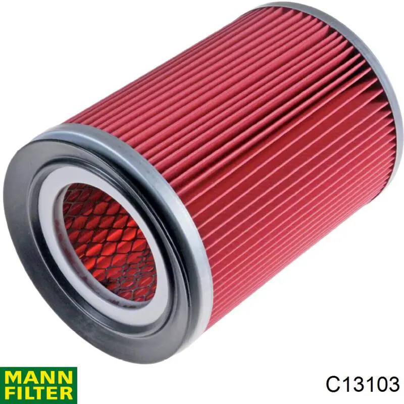 Compre C13103 Mann-Filter Filtro de ar