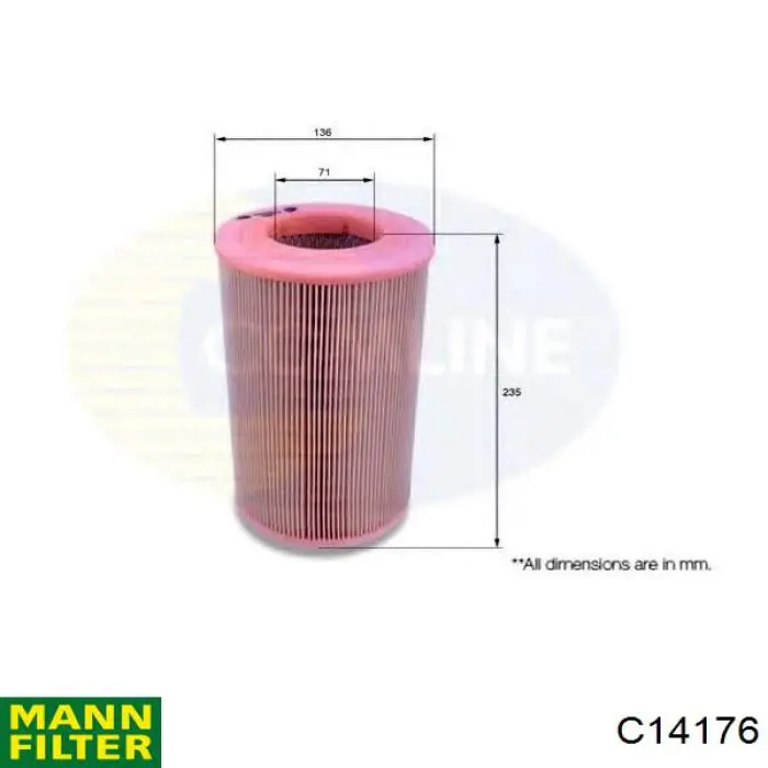 Compre C14176 Mann-Filter Filtro de ar