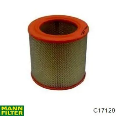 Compre C17129 Mann-Filter Filtro de ar