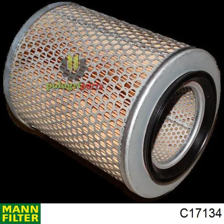 Compre C17134 Mann-Filter Filtro de ar