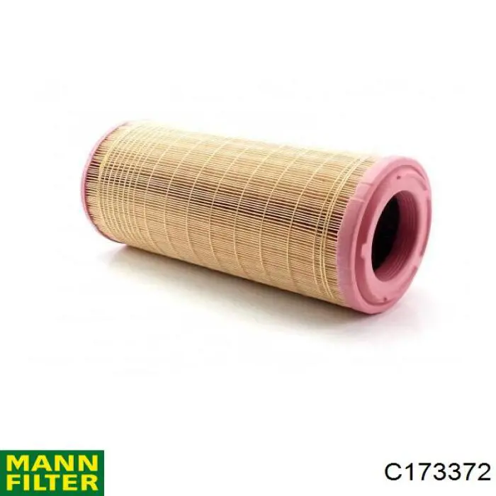 Compre C173372 Mann-Filter Filtro de ar