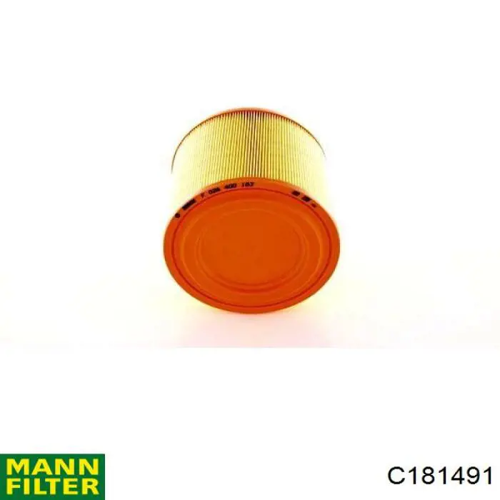 Compre C181491 Mann-Filter Filtro de ar