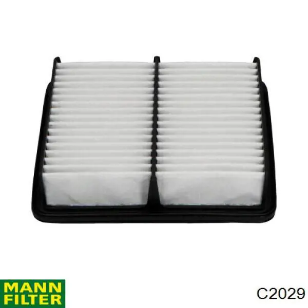 Compre C2029 Mann-Filter Filtro de ar